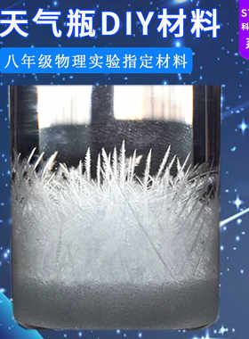 自制抖音同款diy结晶风暴瓶