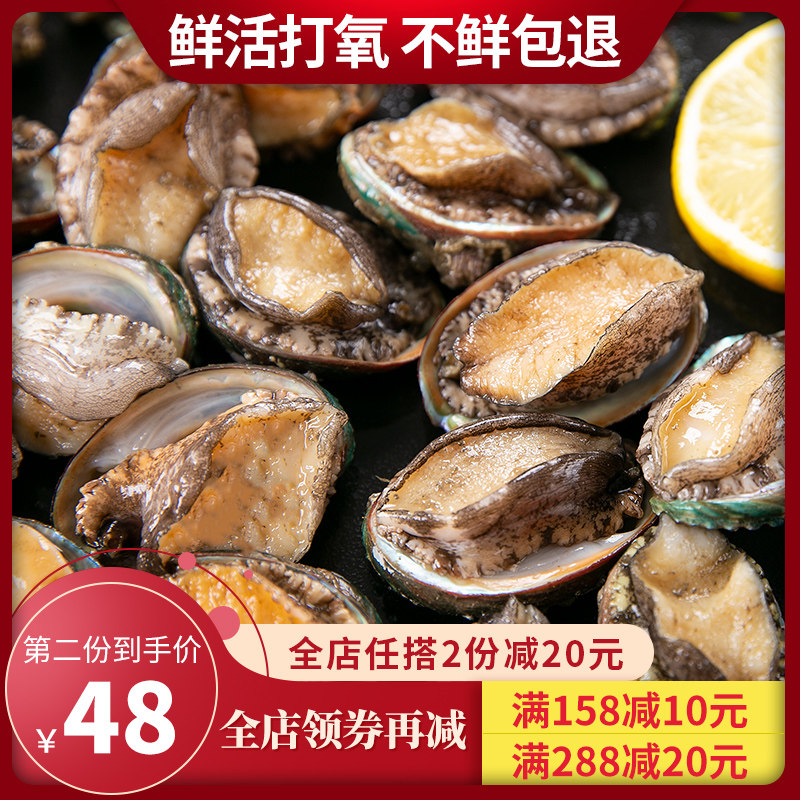 鲜冻鲍鱼海鲜水产新鲜野生大鲍鱼贝类1斤15-18头佛跳墙食材包顺丰在类目 水产肉类/新鲜蔬果/熟食, 海鲜/水产品/制品, 贝类, 鲍鱼中 - 来自Buy2taobao.com提供专业的淘宝代购服务