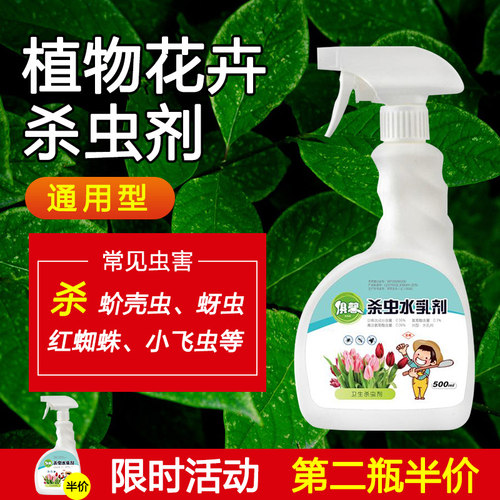 花卉植物杀虫剂素材模板 花卉植物杀虫剂图片下载 小麦优选