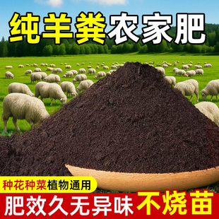 羊粪发酵有机肥料蔬菜专用腐熟发酵羊粪有机肥100斤花卉专用批发