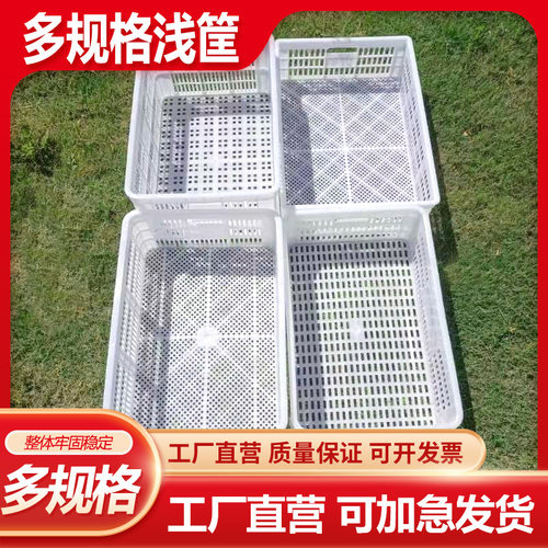 加厚塑料周转筐塑料筐冷库速冻筐海鲜果蔬筐鸡鸭苗运输筐胶筐