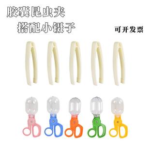 儿童小镊子昆虫夹毛球夹子夹豆子幼儿园精细动作练习昆虫玩具
