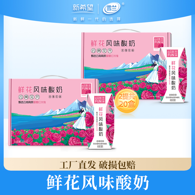 雪兰10玫瑰云南昆明鲜花风味