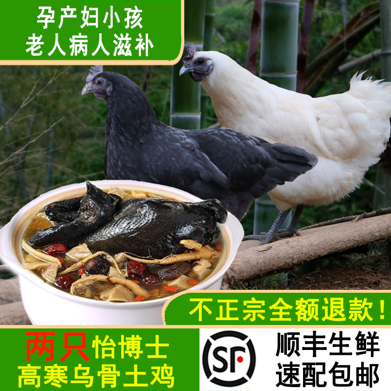 怡博士新鲜现杀雪峰乌鸡母鸡两只