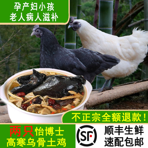怡博士新鲜现杀雪峰乌鸡母鸡两只
