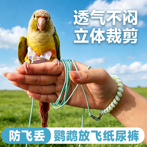 鹦鹉尿不湿放飞绳屎兜可洗防乱咬牵引绳玄凤虎皮牡丹小太阳外出服