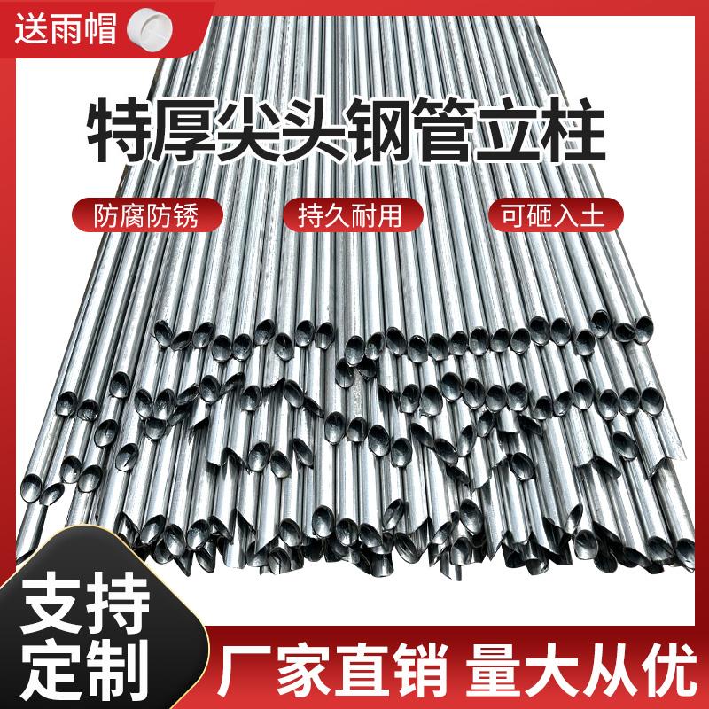 加厚尖头围栏立柱杆镀锌钢管空心圆管标志牌固定支撑杆葡萄架地桩