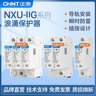 正泰浪涌保护器NXU电源防雷器2P电涌防雷开关220V家用4P避雷器3P