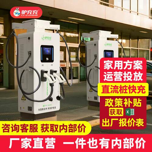 驴充充新能源汽车充电桩120kw快充运营家用直流桩80kW60kW200kW