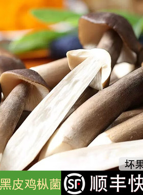【顺丰包邮】新鲜黑皮鸡枞菌鸡枞菇荔枝菌鸡棕菇长根蘑菇食用菌菇