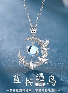 2025新款蓝桉与鸟S925纯银月光石