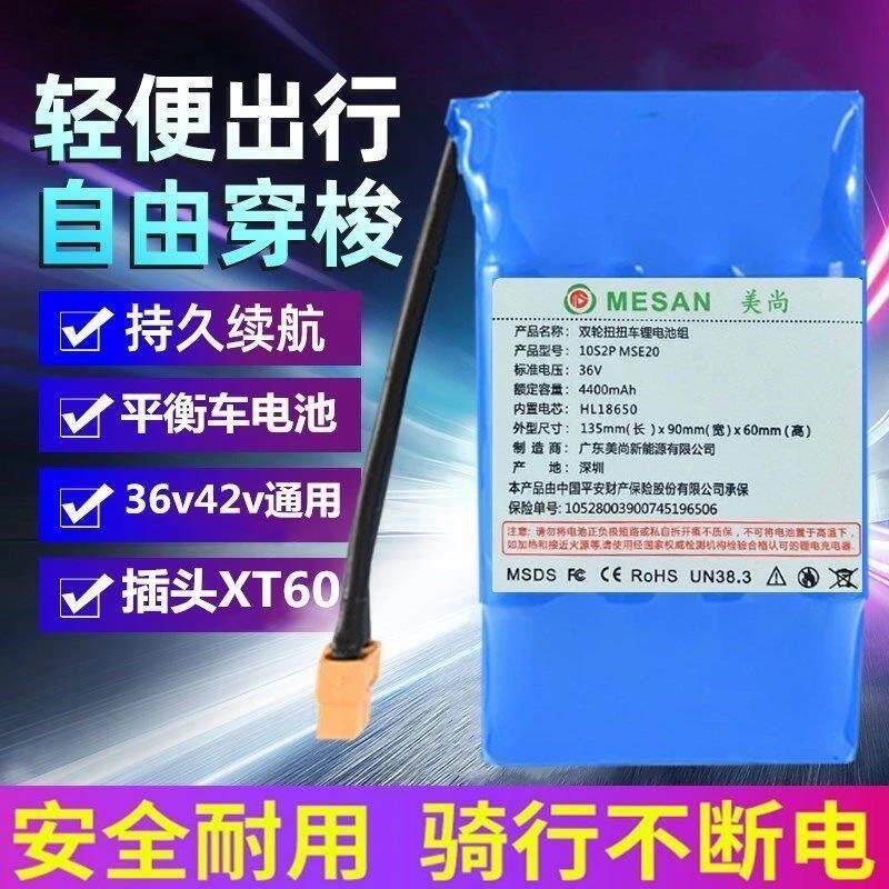 电瓶大容量电瓶电池车扭扭平衡双轮车平衡车36V通用电动锂电池42v