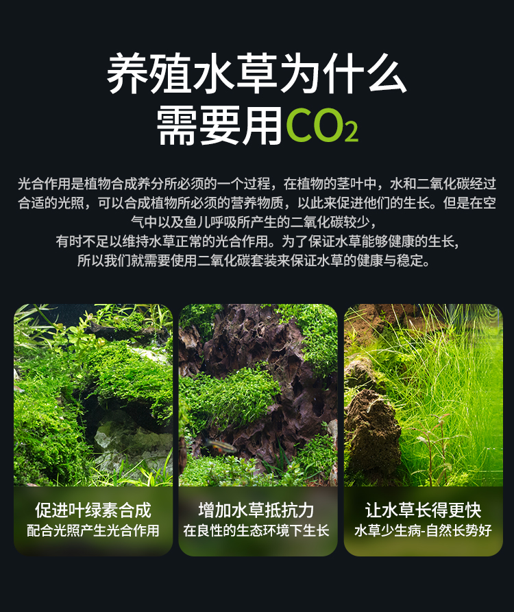 零度水草缸专用CO2气瓶套装抛弃式二氧化碳钢瓶减压阀细化器