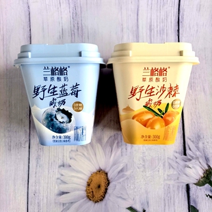 兰格格内蒙古草原酸奶0蔗糖无添加野生蓝莓野生沙棘低温300g杯装