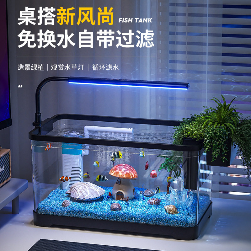 鱼缸造景绿植免换水过滤制氧一体图片