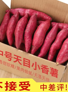 临安仓发货新挖天目小香薯黄心板栗红薯地瓜山芋粗粮 精选中号5斤