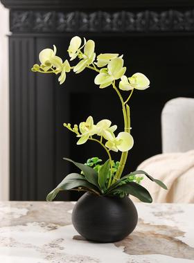 彷蝴蝶兰花花卉套装饰品新中国风客厅餐桌古架假花桌面小盆栽植物