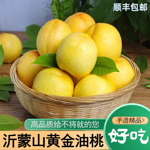 2026蒙阴开园头茬黄油桃自家果园