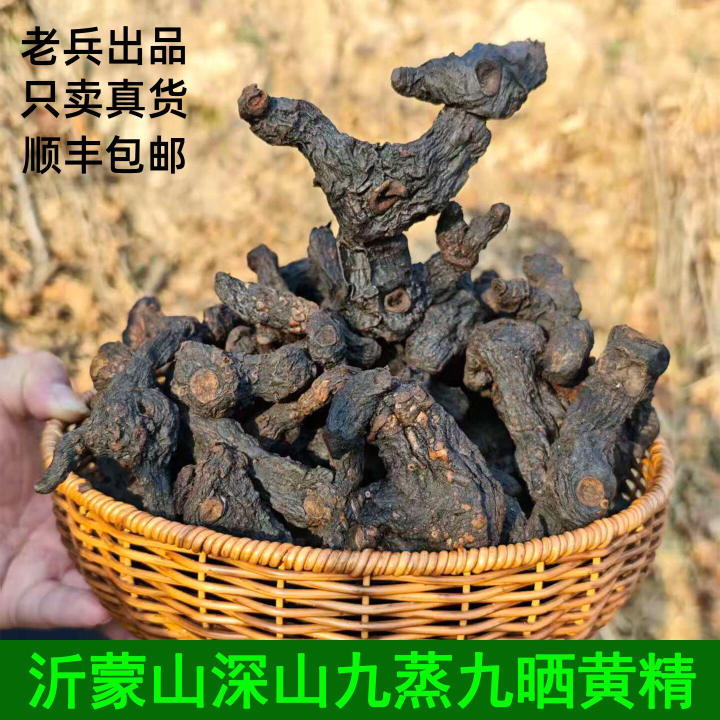 制黄精九蒸九晒黄精老虎姜鸡头参中药材黄精沂蒙山深山柴火蒸制