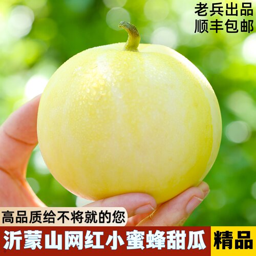 沂蒙山网红爆甜小蜜蜂糖罐甜瓜