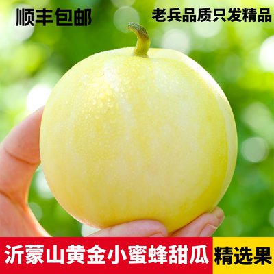 沂蒙山网红爆甜小蜜蜂糖罐甜瓜