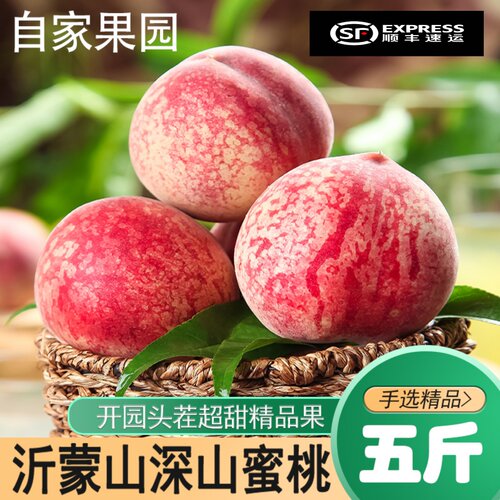 蒙阴新鲜水果蜜桃5斤毛桃超甜