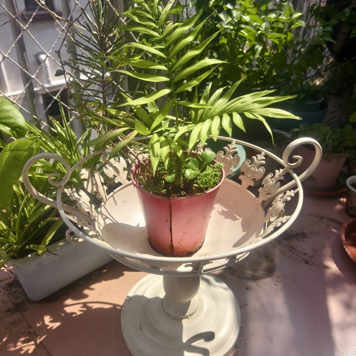 户外园艺金属铁艺花盆庭院阳台花园装饰复古奖杯创意设计绿植花盆