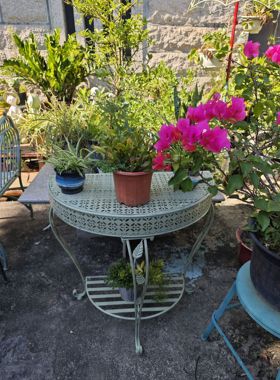 花园庭院户外橱窗装饰半圆桌架