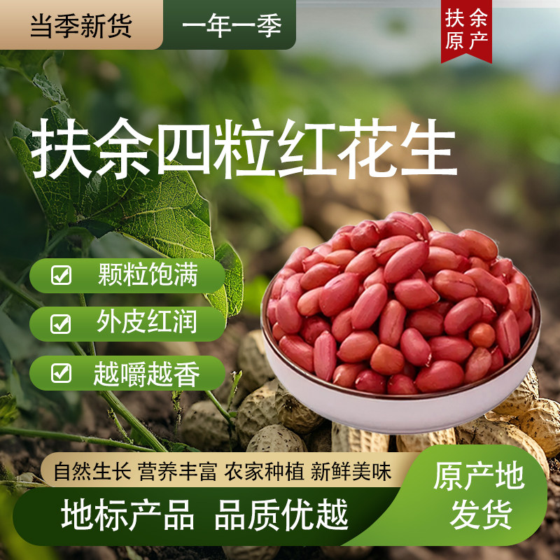 吉林扶余三井子四粒红花生米红皮花生米脱壳花生仁2025年新花生