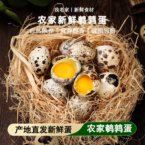 我老家新鲜生鹌鹑蛋小鸟蛋
