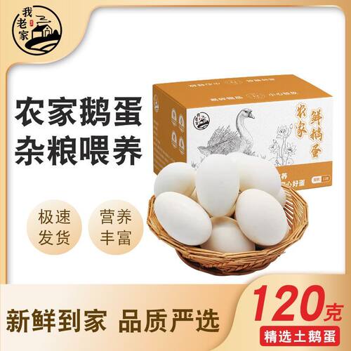 我老家新鲜鹅蛋农家散养