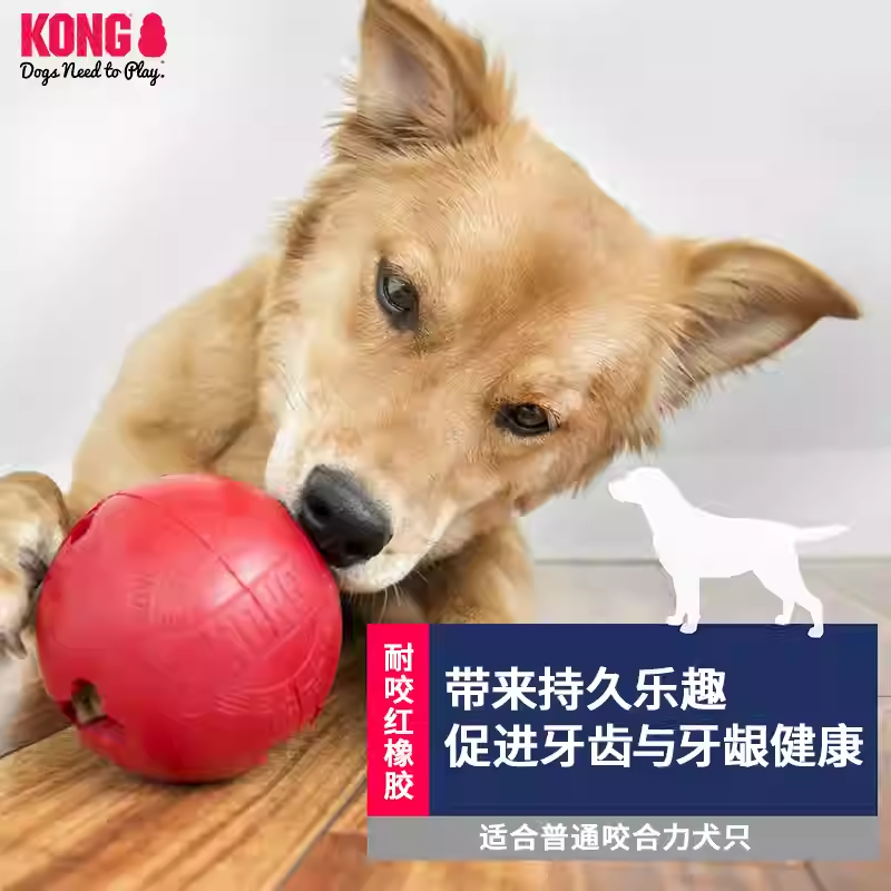 KONG狗狗漏食玩具饼干球藏食互动游戏金毛泰迪耐咬磨牙解闷神器
