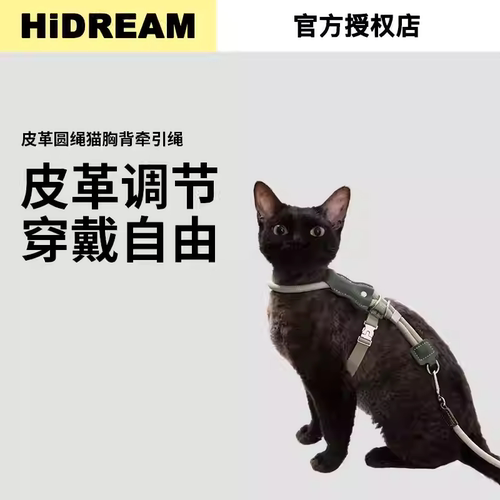 猫胸背带套装工字形猫牵引绳