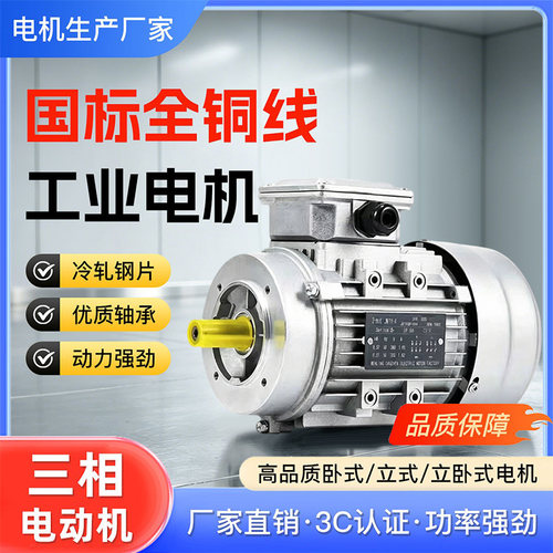 三相380V全铜线铝壳微型减速电机