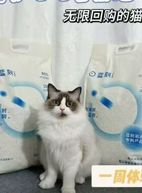 蓝刻泡泡豆腐猫砂蓝泡泡10kg大包奶香除臭秒结团猫舍专用繁育吸水