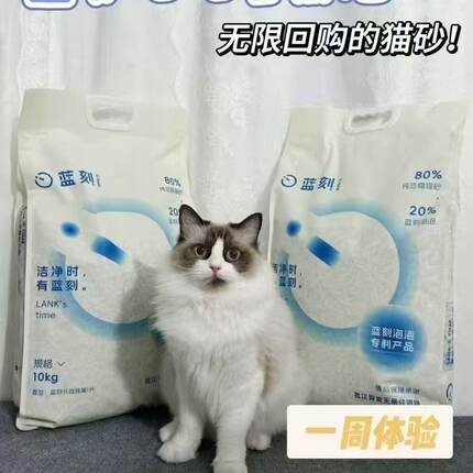 蓝刻泡泡豆腐猫砂蓝泡泡10kg大包奶香除臭秒结团猫舍专用繁育吸水