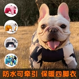 Собачья одежда согревается в зимнем питомце.