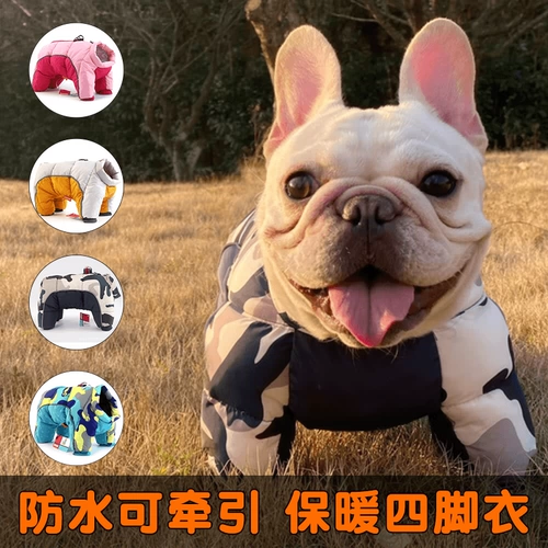 Собачья одежда согревается в зимнем питомце.