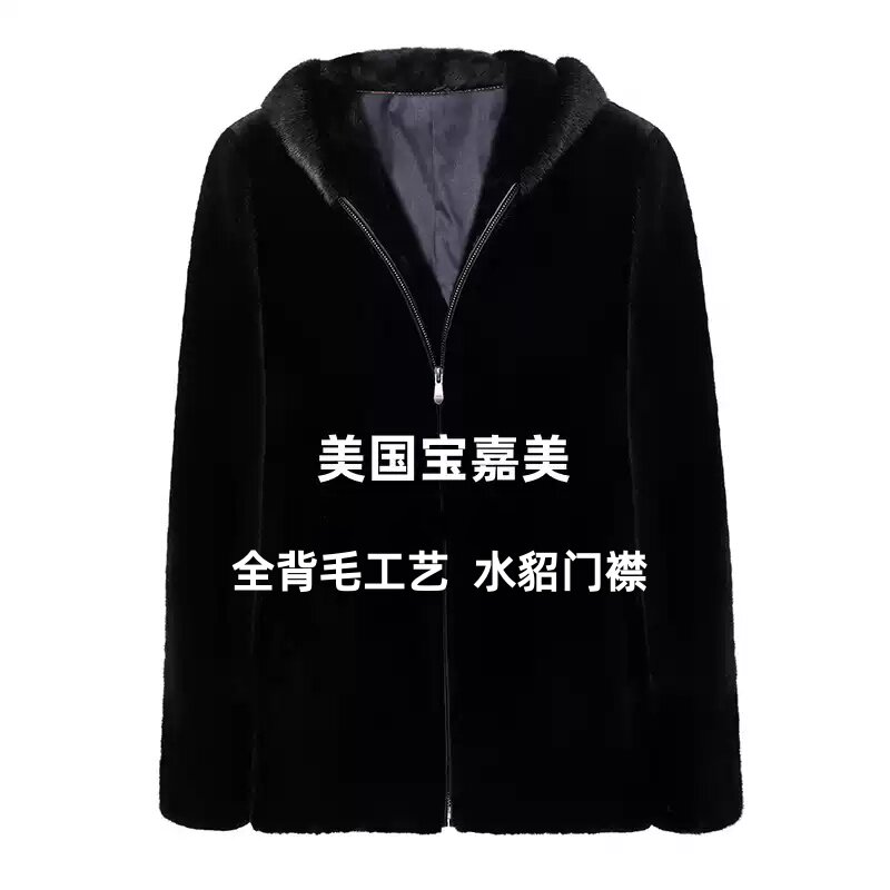 本黑宝嘉美短毛针皮草