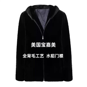 本黑宝嘉美短毛针皮草