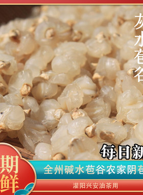 全州灰水苞谷阴凉处广西桂林全州