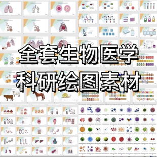 ppt科研绘图素材全套生物医学可编辑插图细胞流程图通路图模型