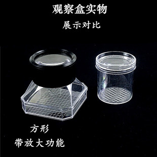 昆虫观察瓶/带出气孔带3倍放大 饲养瓶/制作昆虫标本孵卵盒虾卵