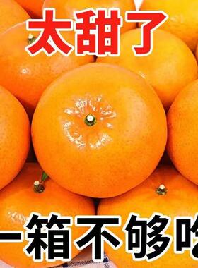 【君姐专享】正宗重庆高山沃柑鲜甜多汁新鲜水果