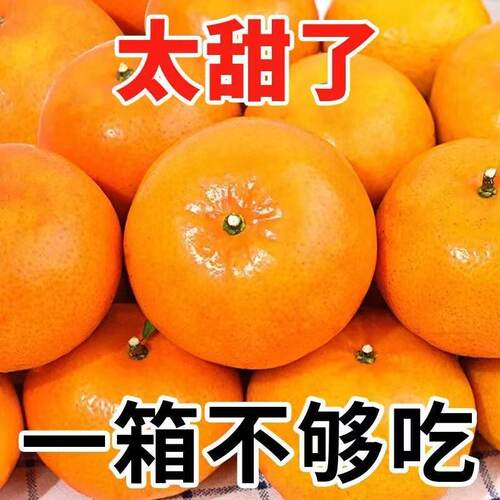 【君姐专享】正宗重庆高山沃柑鲜甜多汁新鲜水果