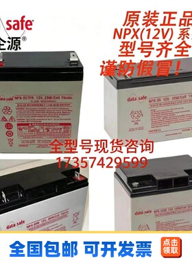 美国DATASAFE蓄电池NPX(12V)系列NPX-25/35/80/100全型号