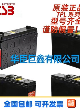 台湾CSB蓄电池TPL系列TPL121000/121250/121600FR适用于ups应急等