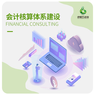 会计核算会计账务会计体系建设核算制度会计准则 会计咨询顾问题