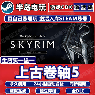 上古卷轴V天际特别十周年纪念版老滚5游戏Steam激活码CDKey全DLC