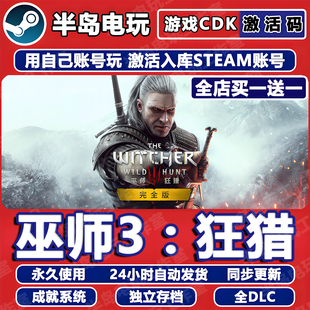 Wild 巫师3狂猎游戏Steam激活码 Witcher Hunt CDK全DLC入库The